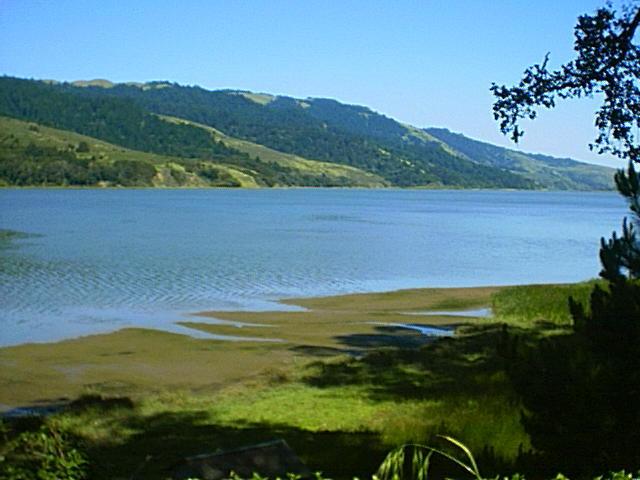 LagoonfromBolinas.jpg