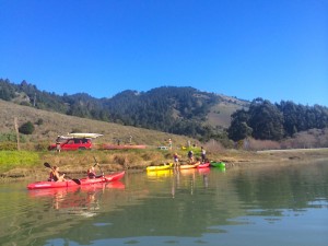 Kayaking Bolinas Lagoon