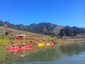 Kayaking Bolinas Lagoon