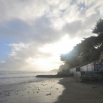 Bolinas Beach north facing