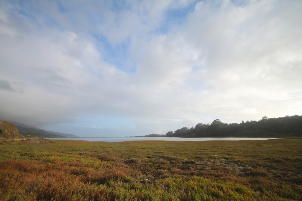 Bolinas Lagoon