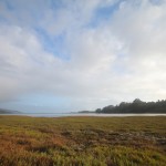 Bolinas Lagoon