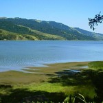 Vintage view of Bolinas Lagoon